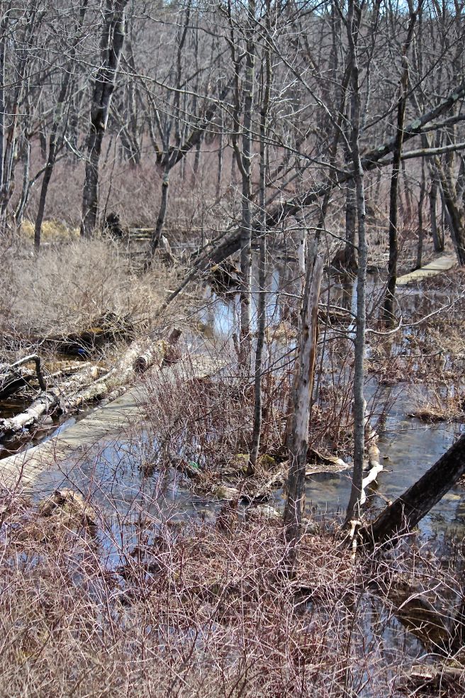 s-boardwalk under water