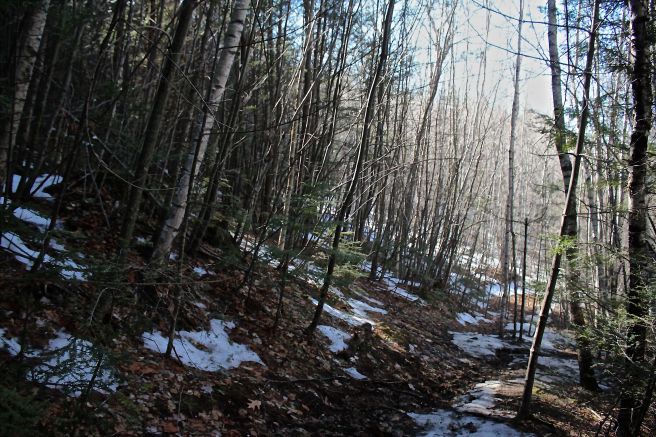 s-community transition 1