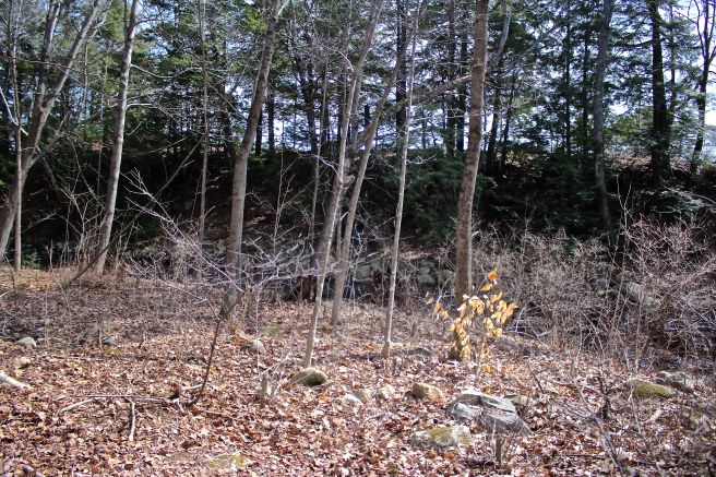 s-former millpond:5th site