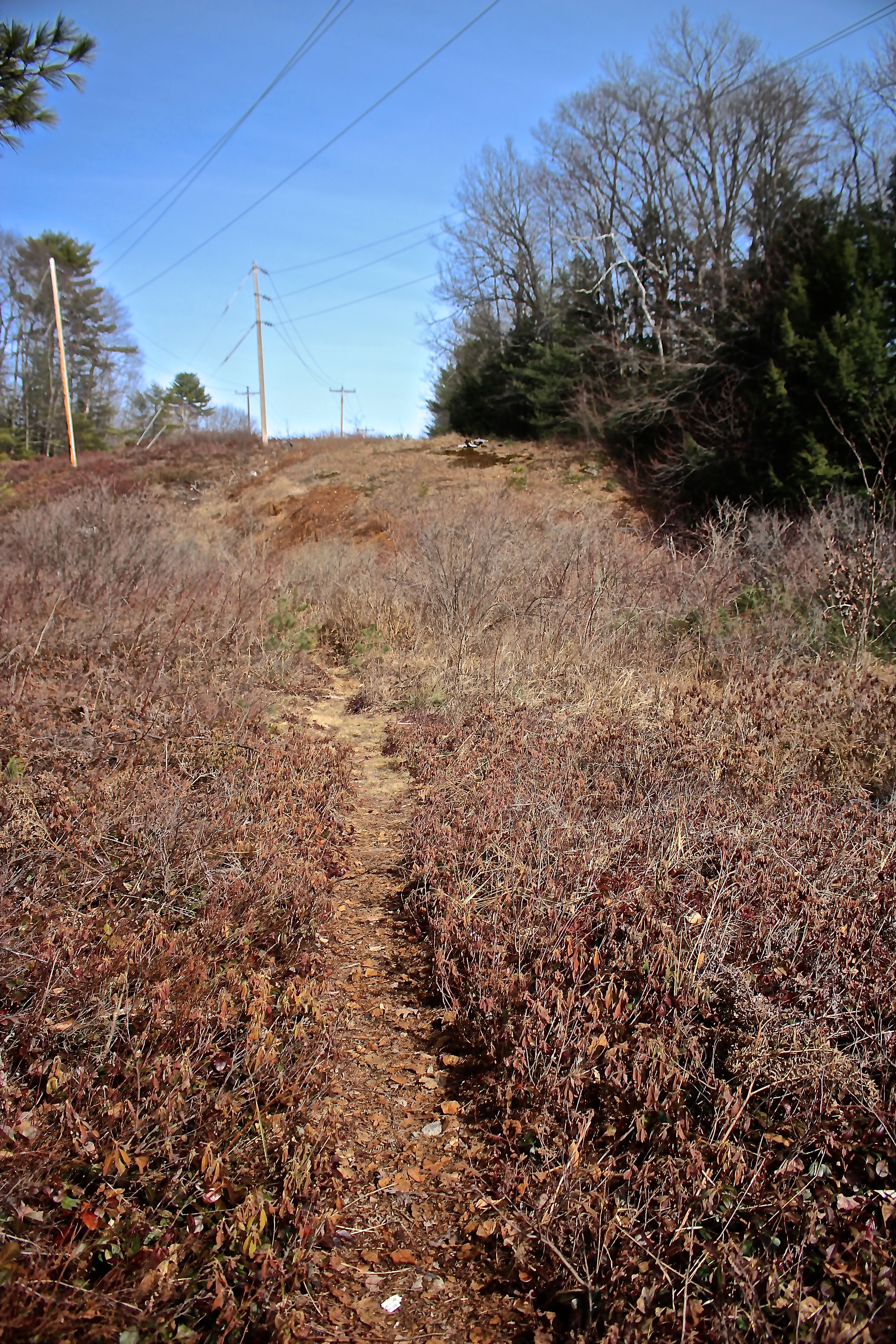 s-powerline trail