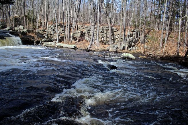 s-remnants by Johnson falls