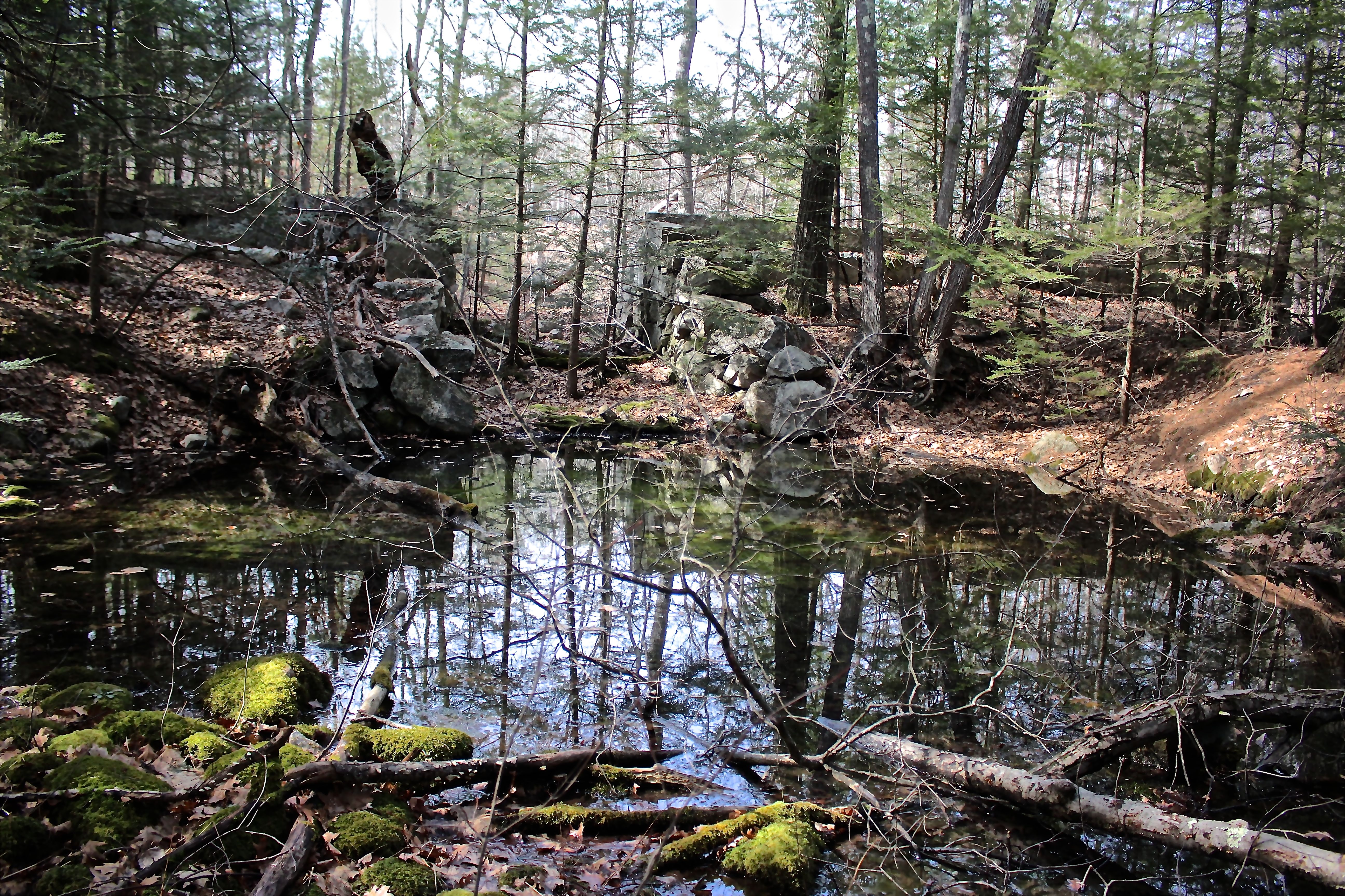 s-vp by Kennards, 9th site