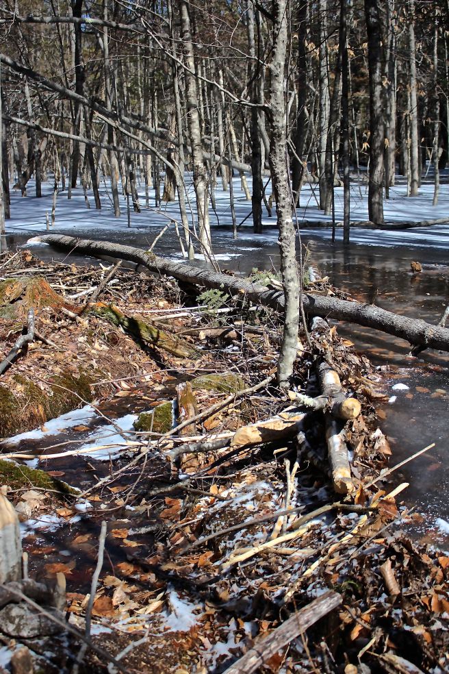 b-beginning of main dam
