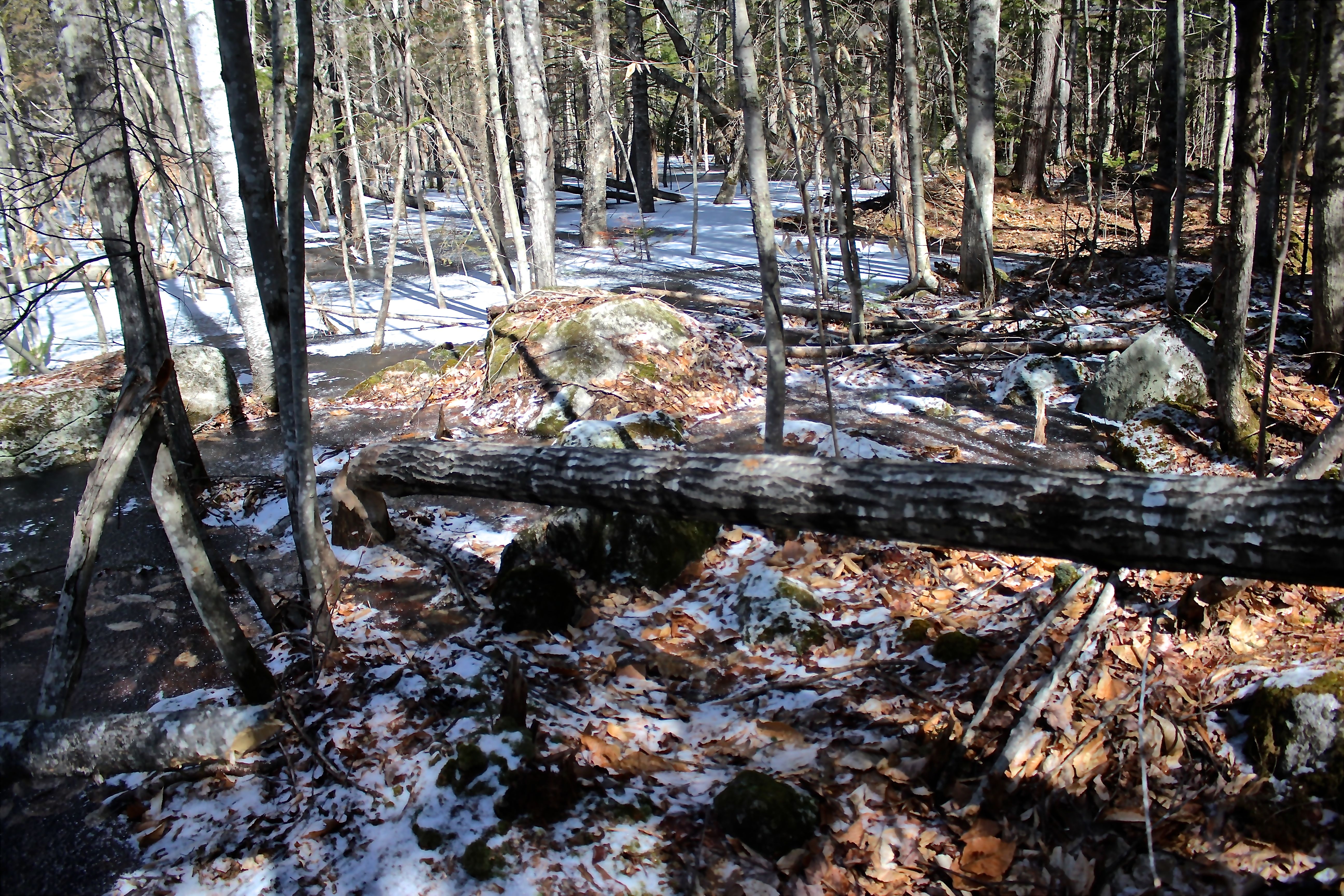 b-tree falls wrong way