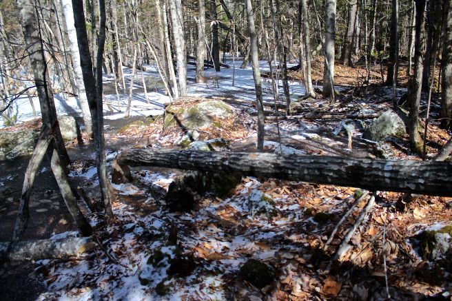 b-tree falls wrong way