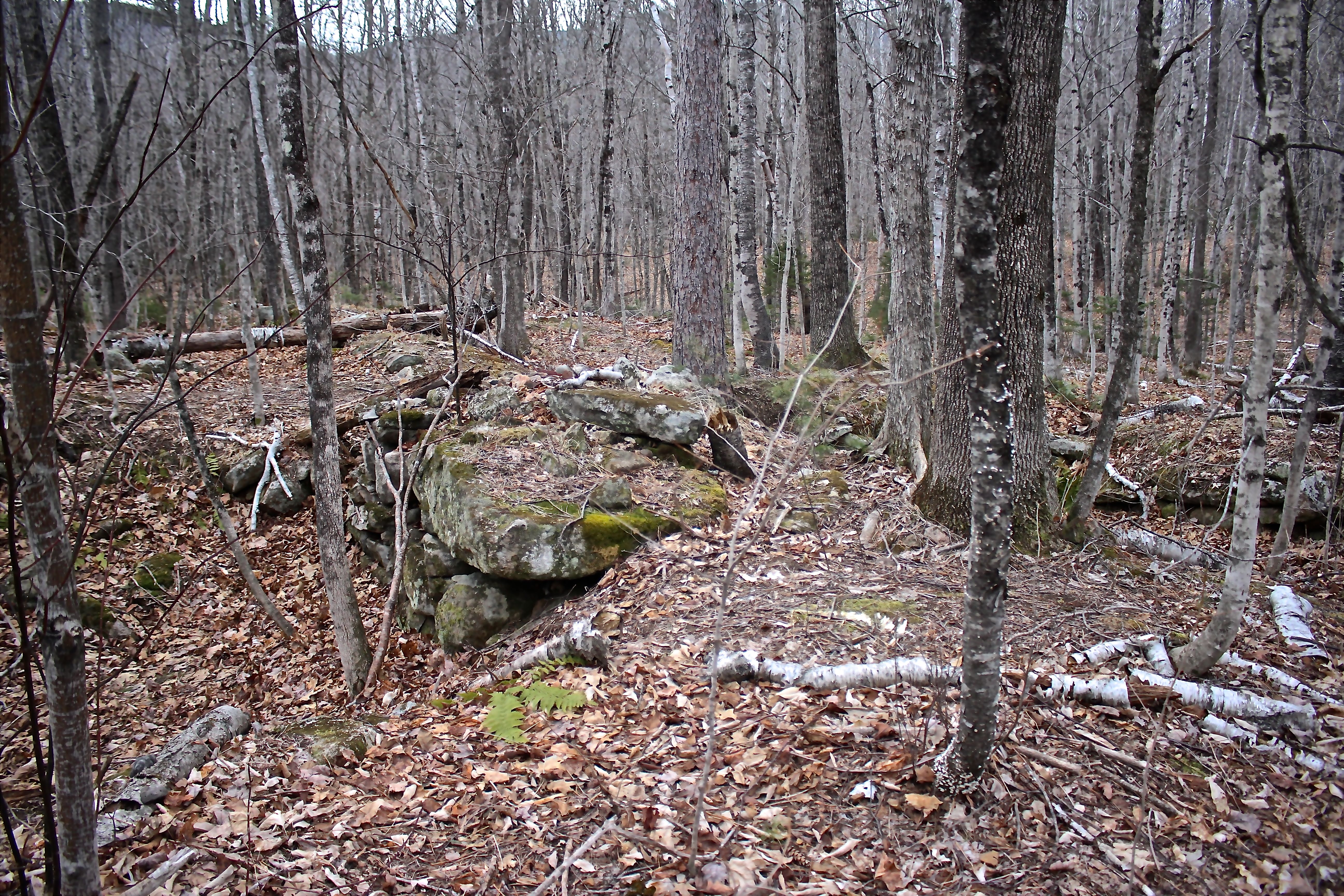 h-3rd fdn central chimney