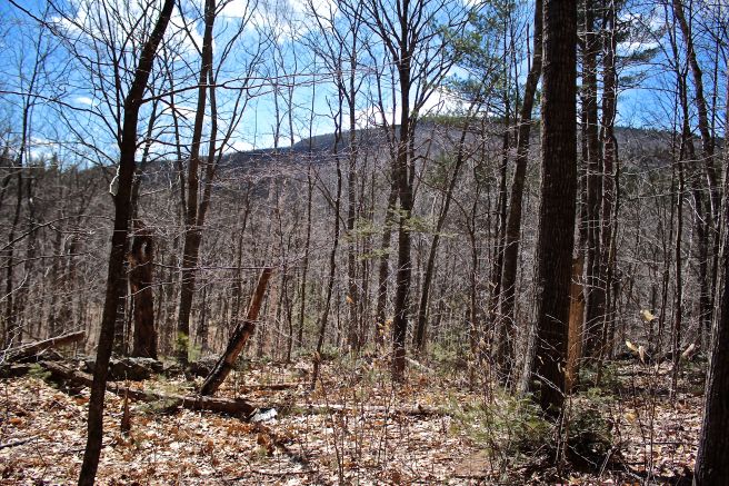 h-cemetery view-Durgin