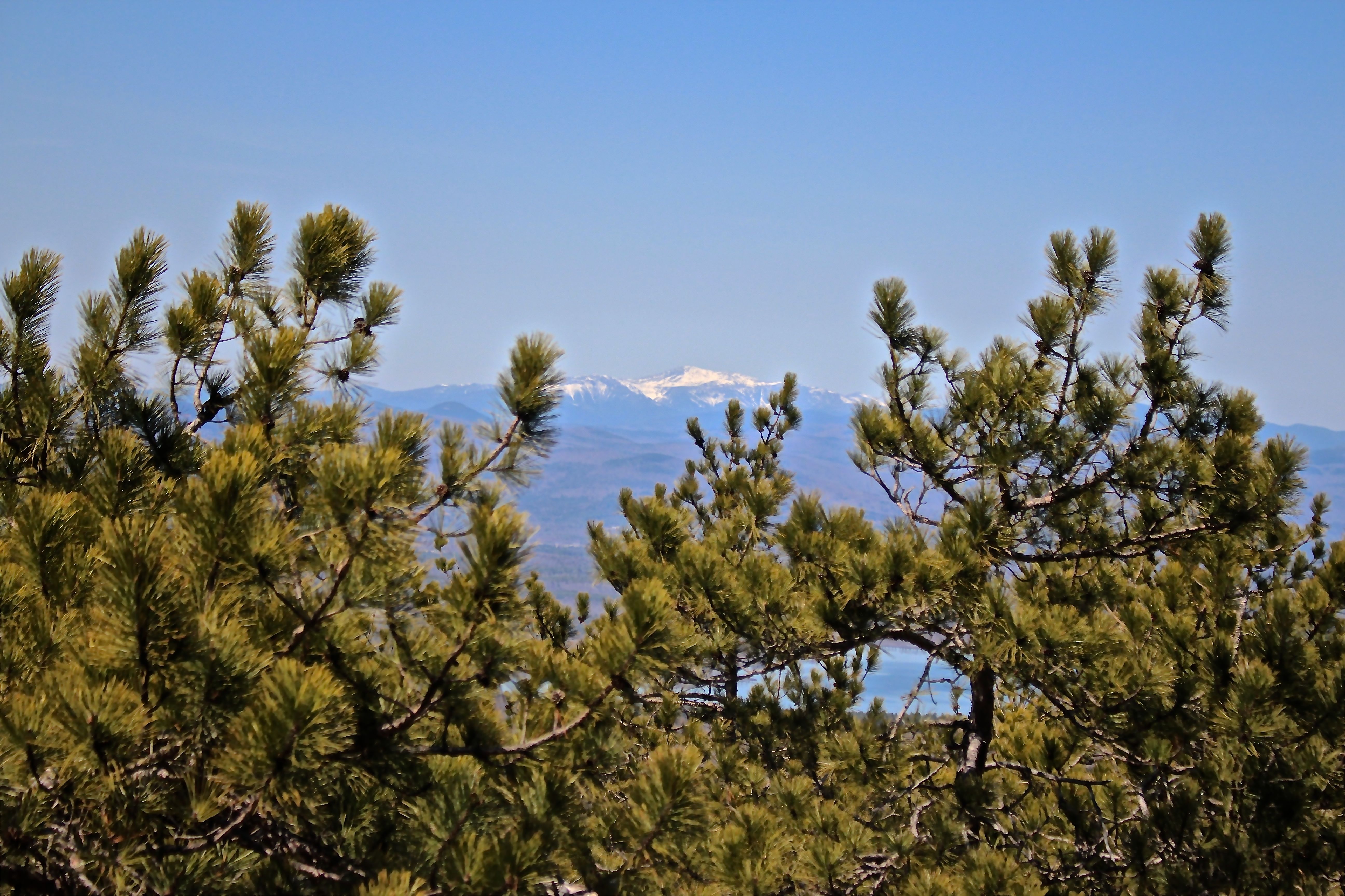 p-Mtn W from lunch rock