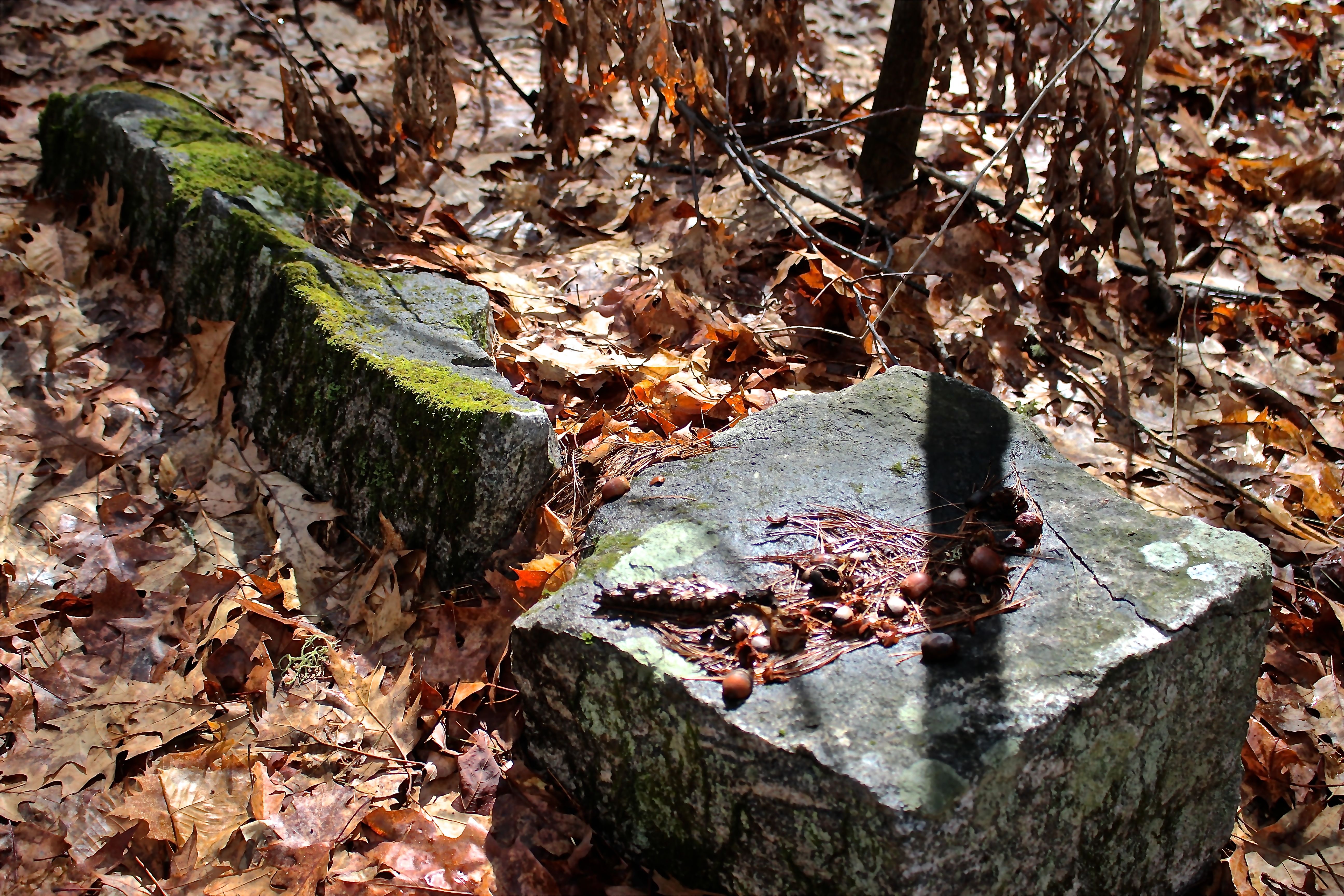 s-fdn rocks, squirrel table
