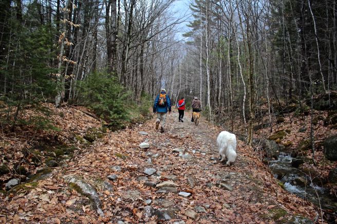 s-following trail in