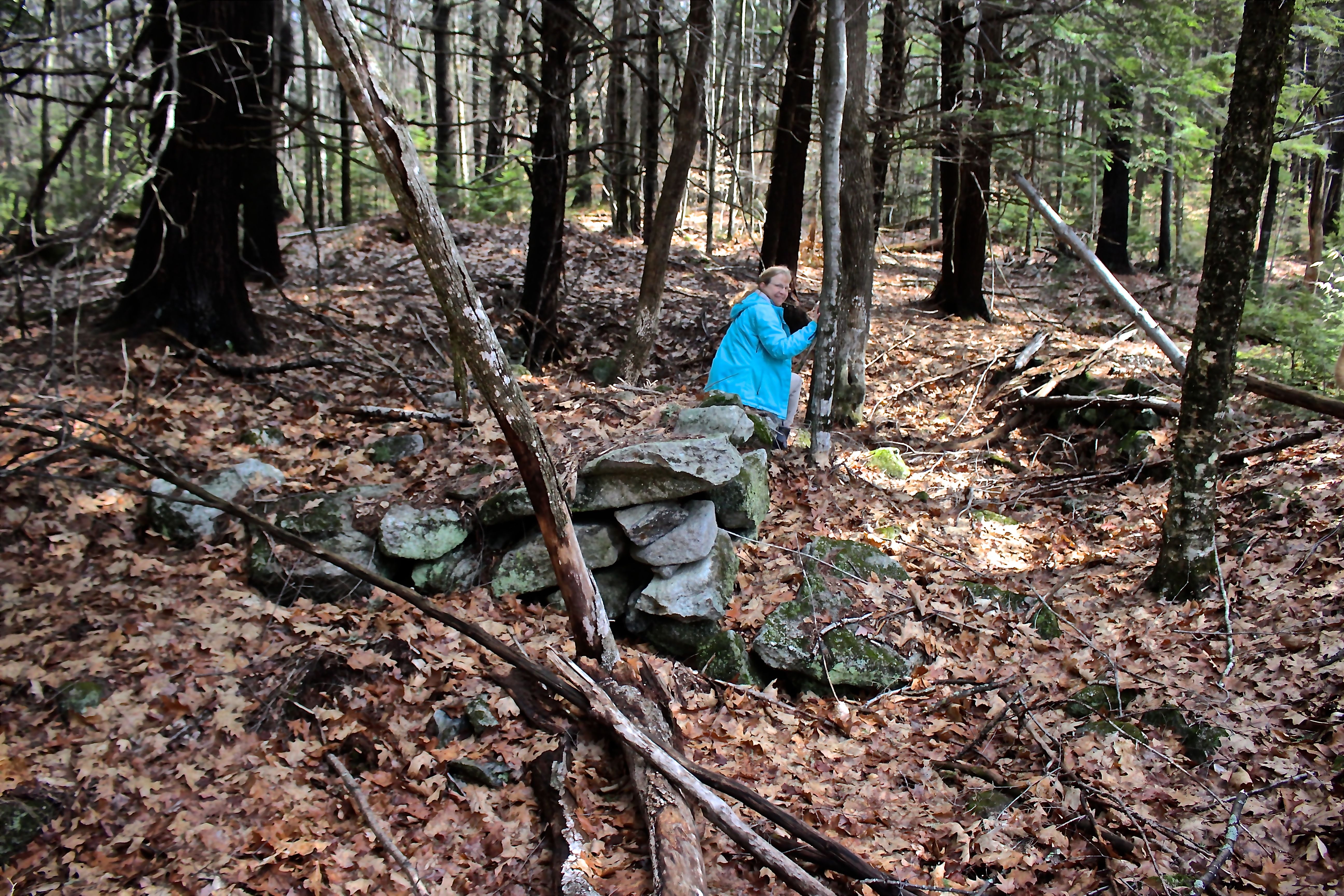 s-kneeland foundation