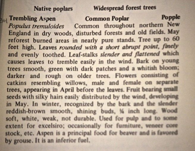 t-quaking description