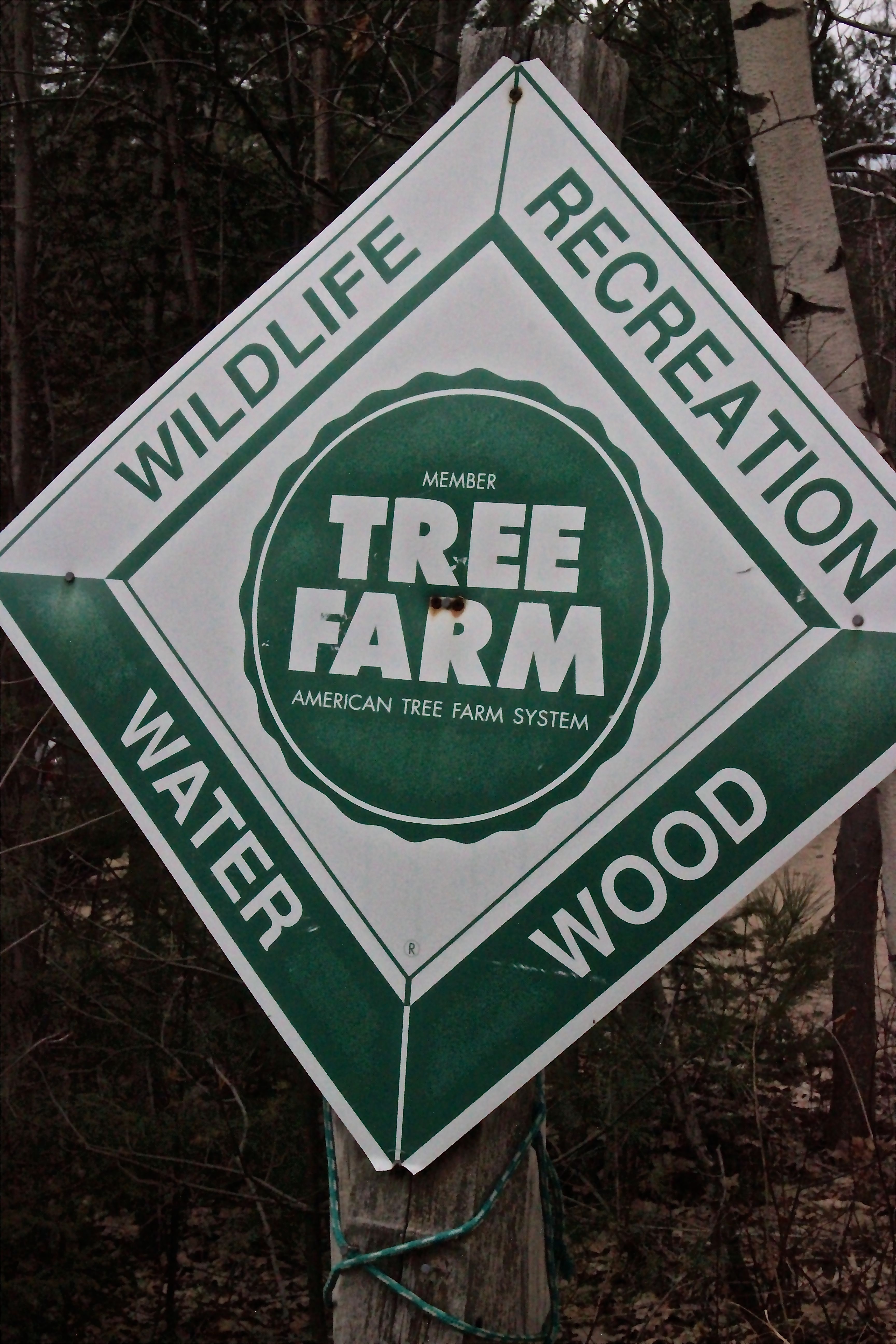 w-tree farm sign