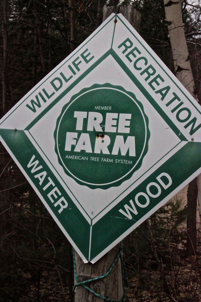 w-tree farm sign