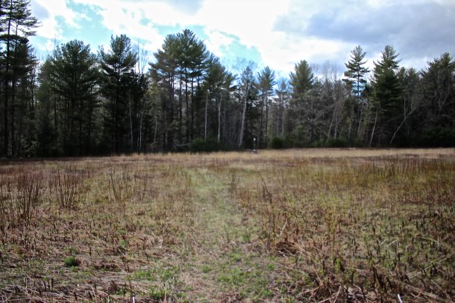 h-view emerald field