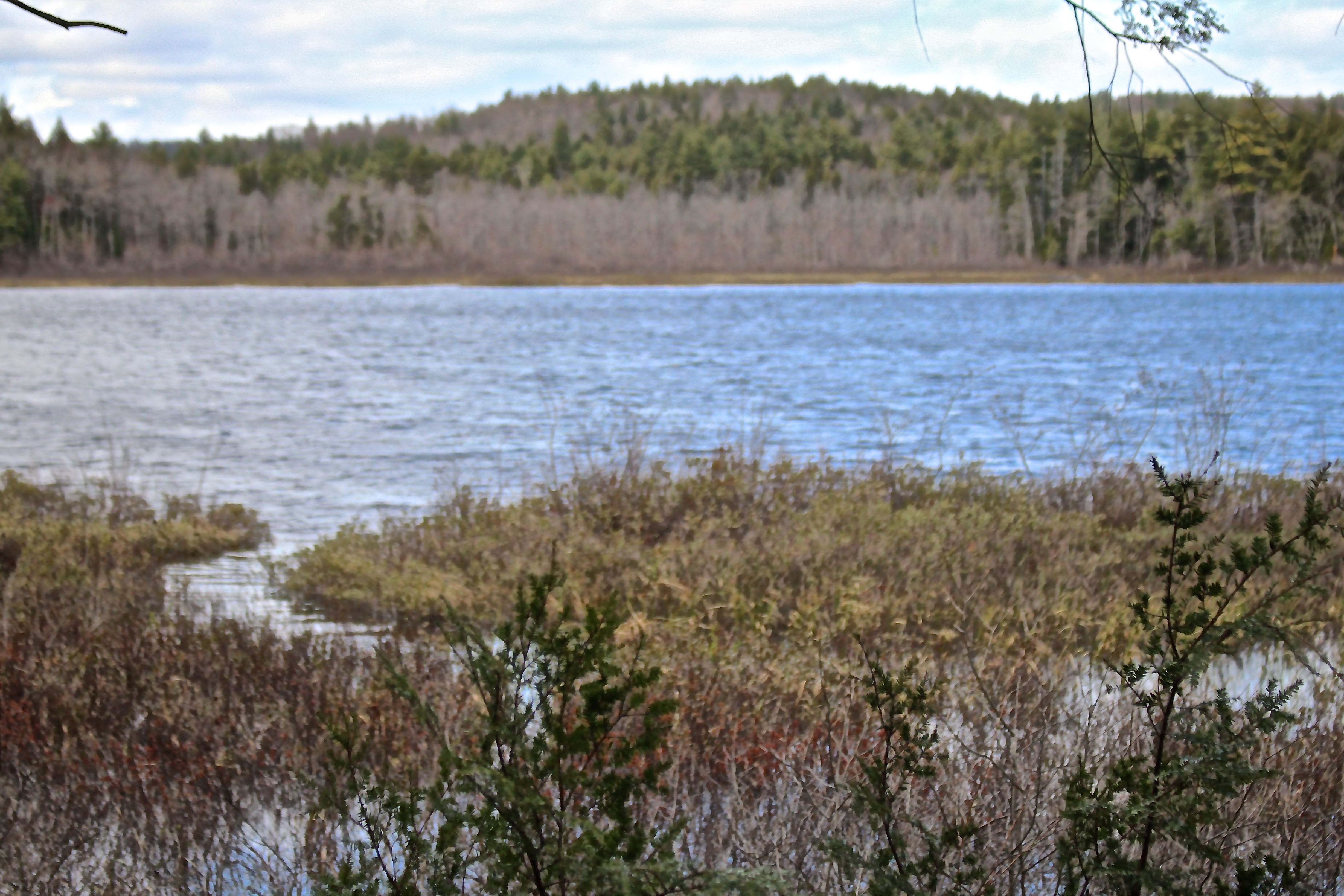 h-view from southshore trail