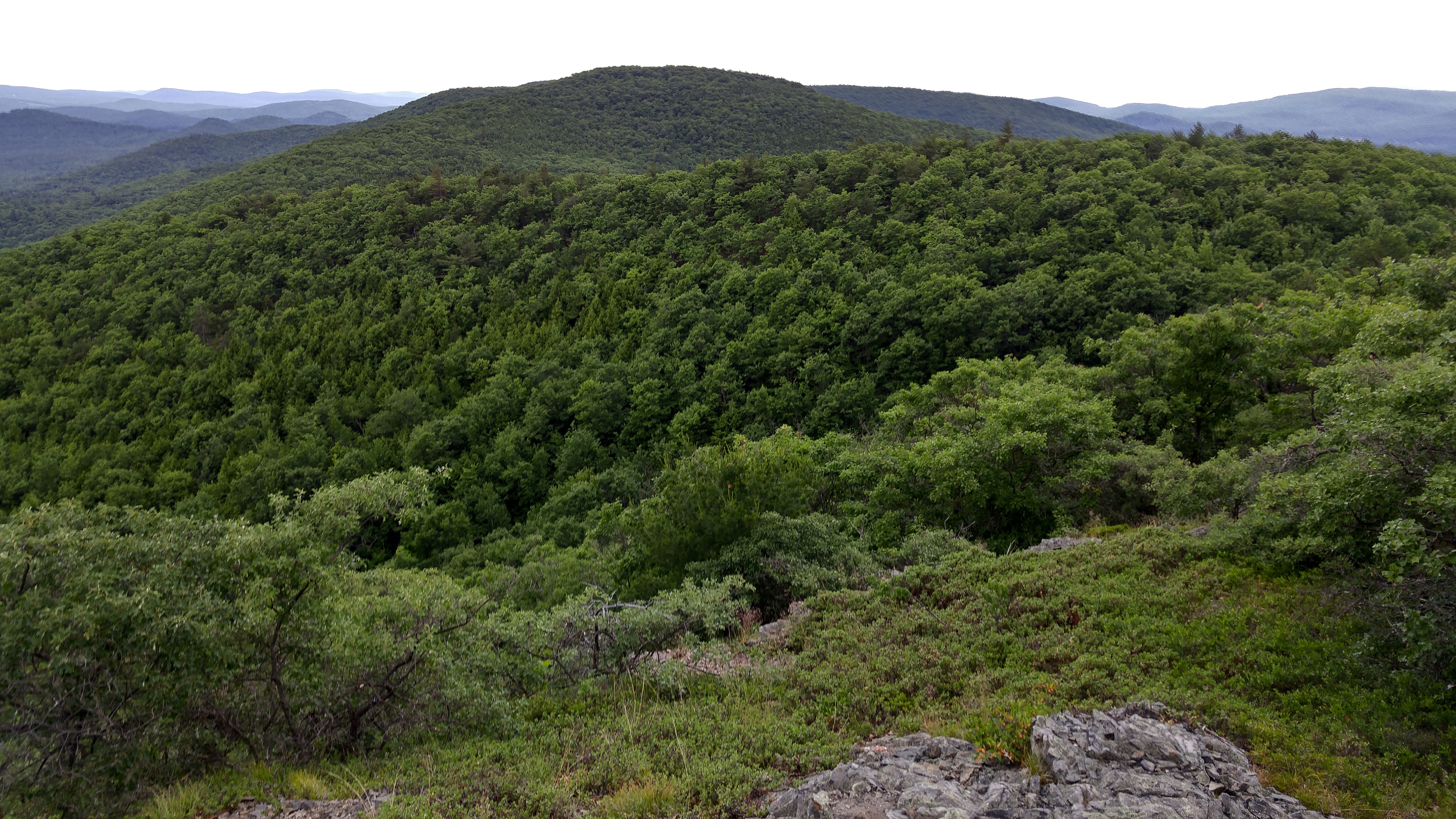 ph summit view 2 (1)