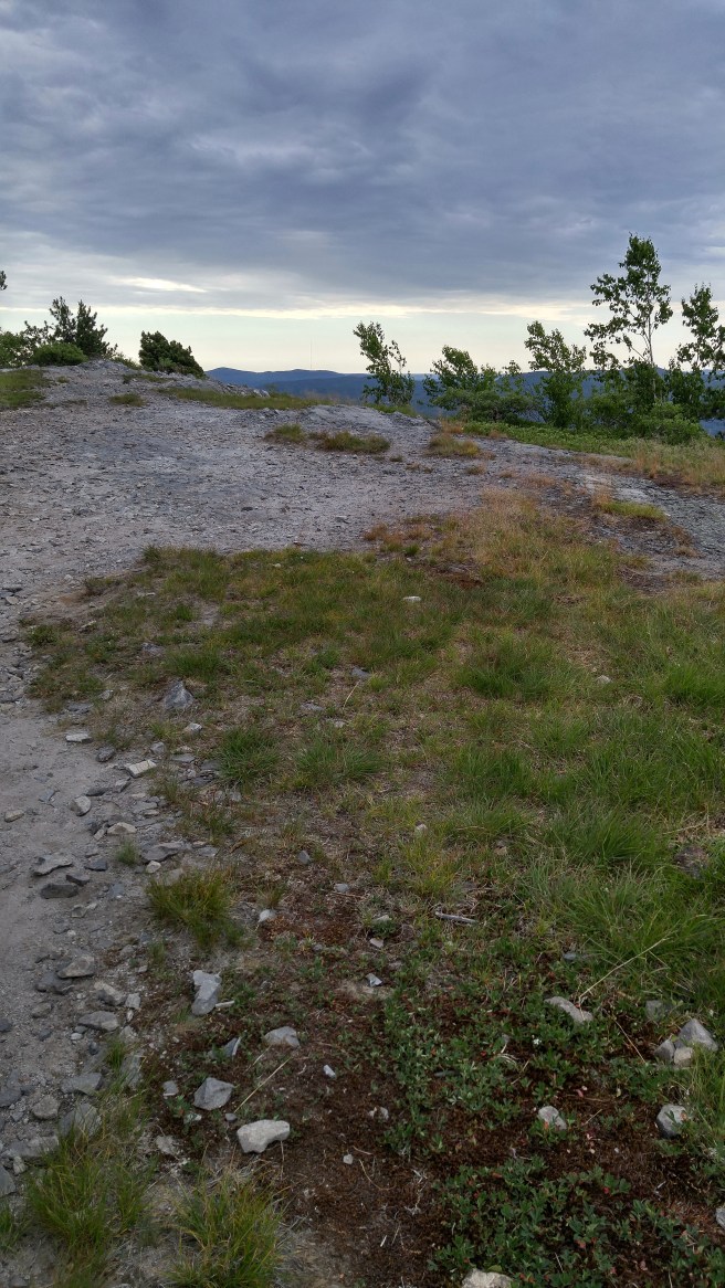 ph summit view 5 (1)