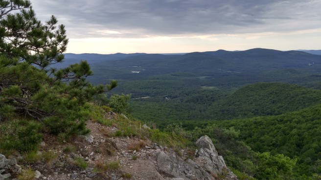 ph view on way 2 (1)