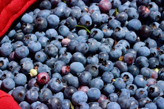 p-filled to the brim