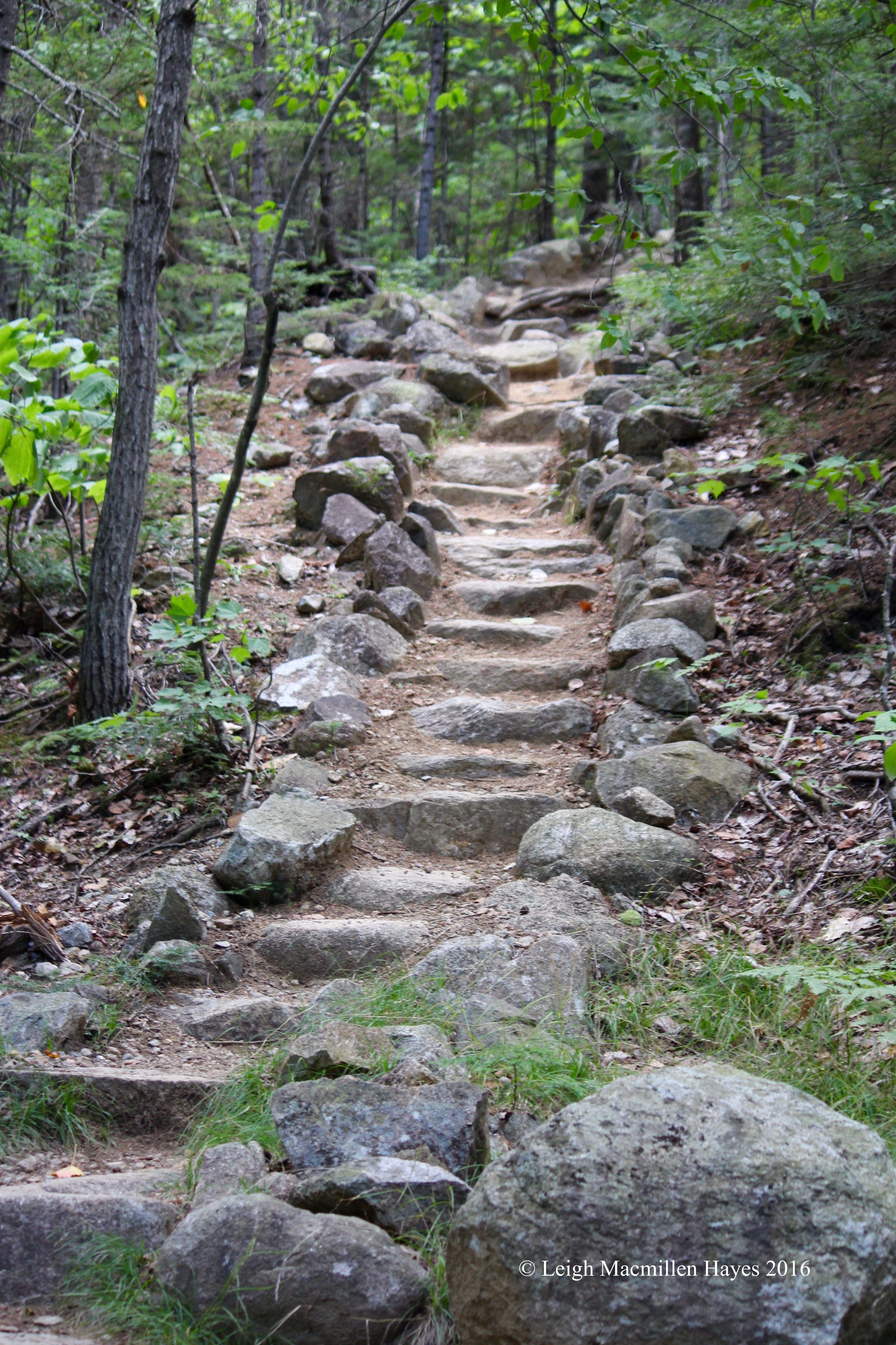 c-stairway to heaven