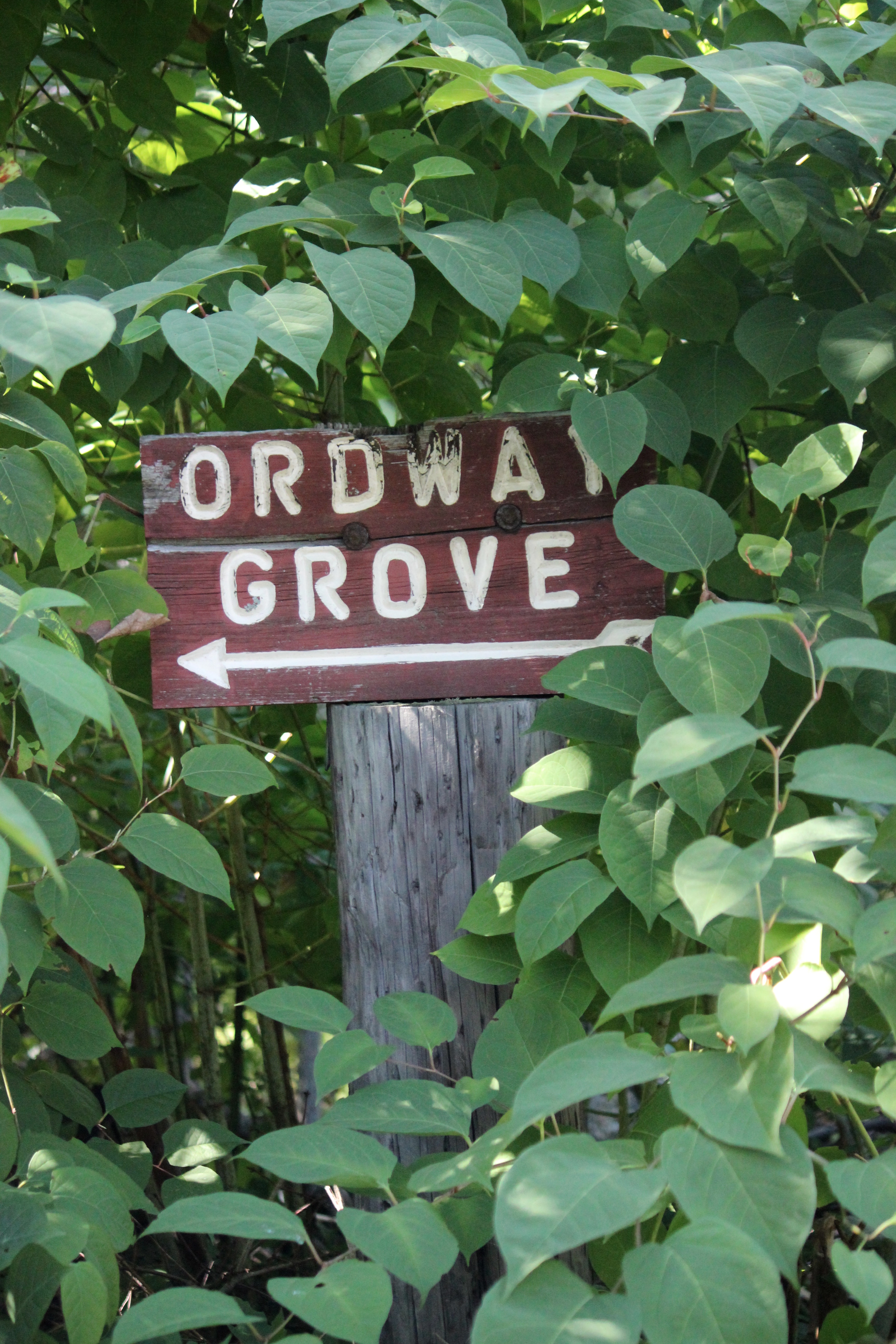 n-ordway sign