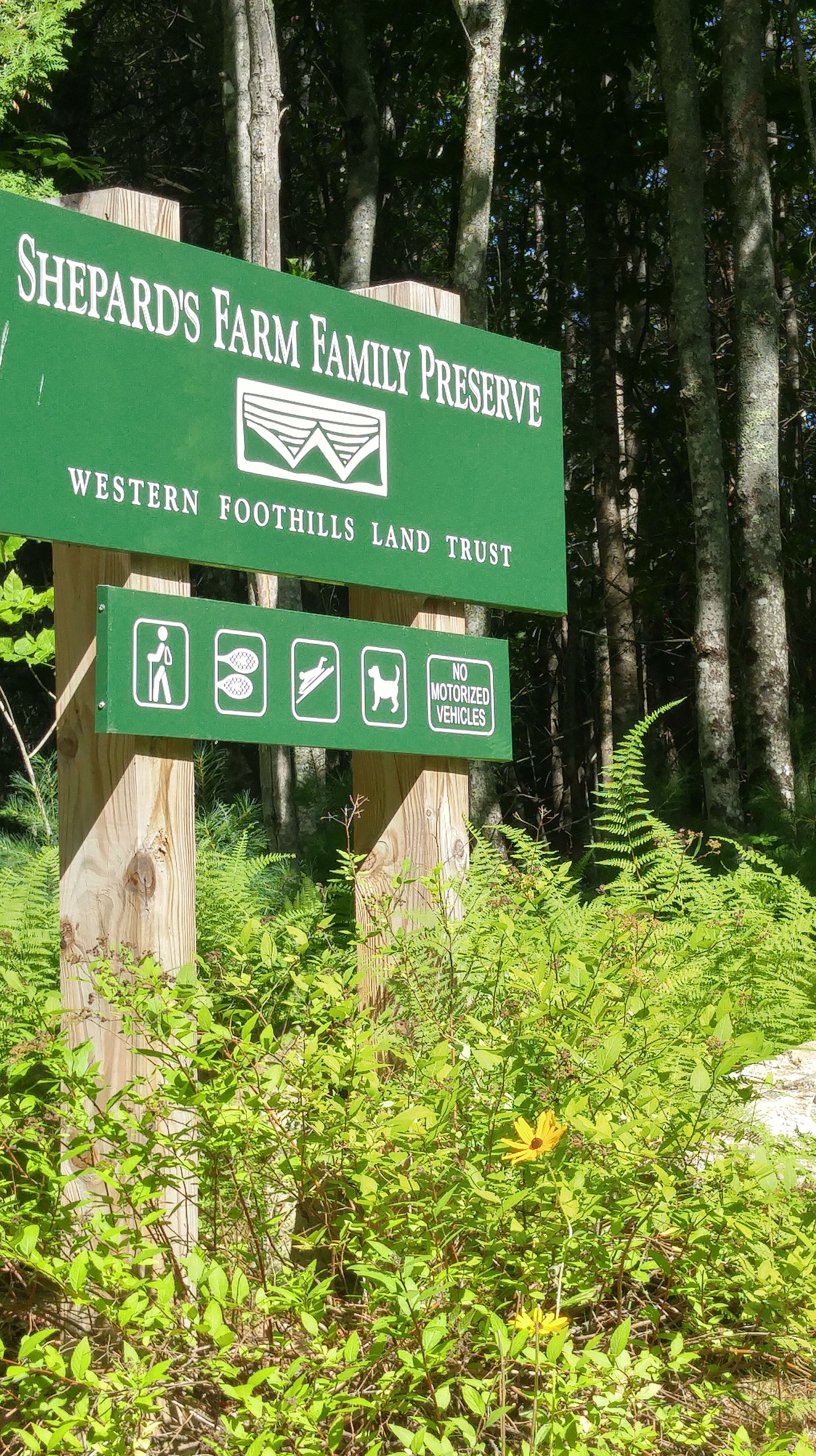 n Preserve sign