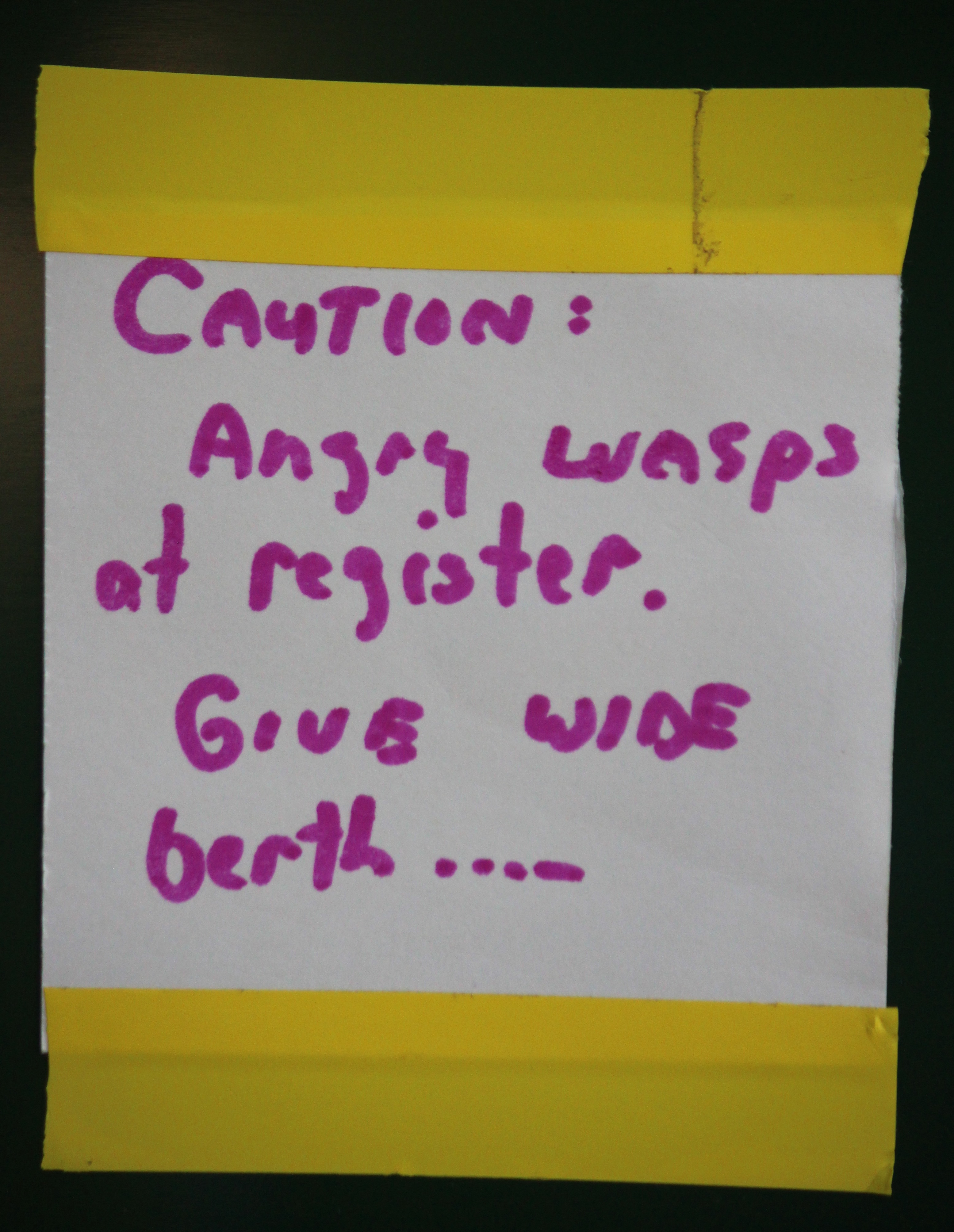 n-wasp Witt Swamp.jpg