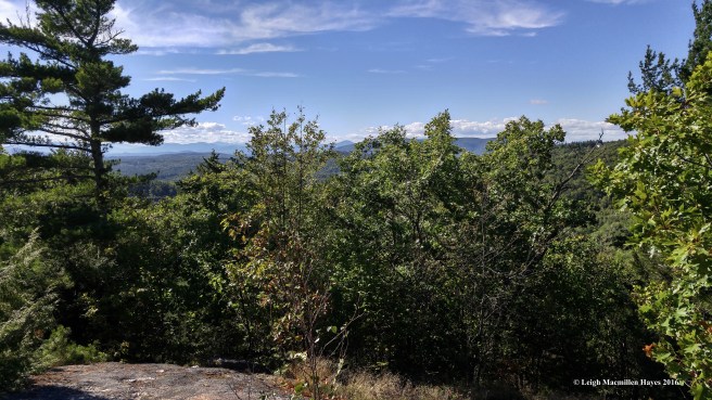 b-view-from-the-rock-1