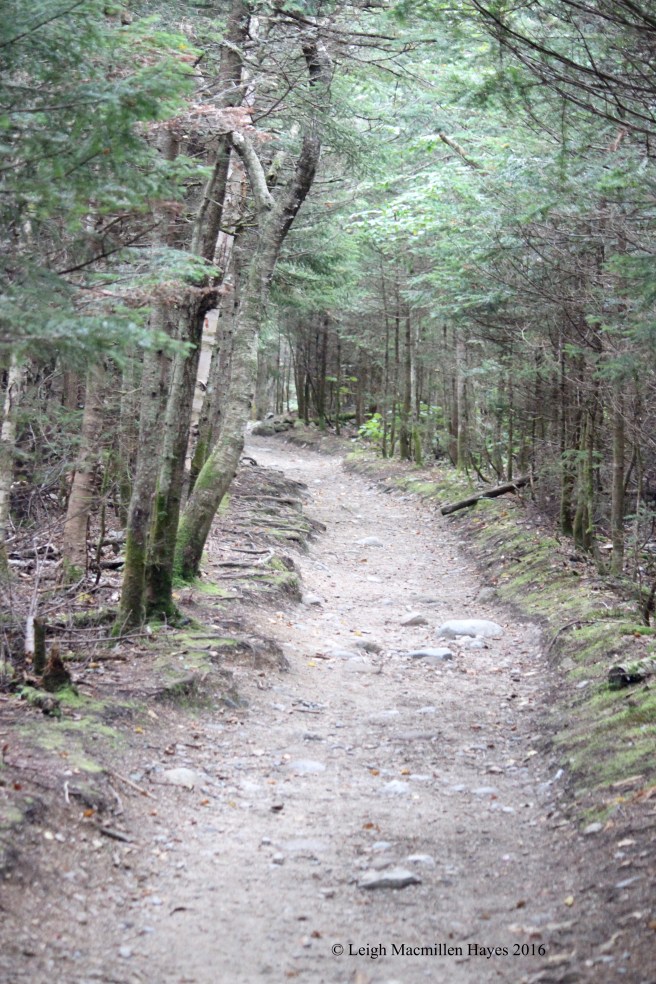 h-carriage road 1.jpg