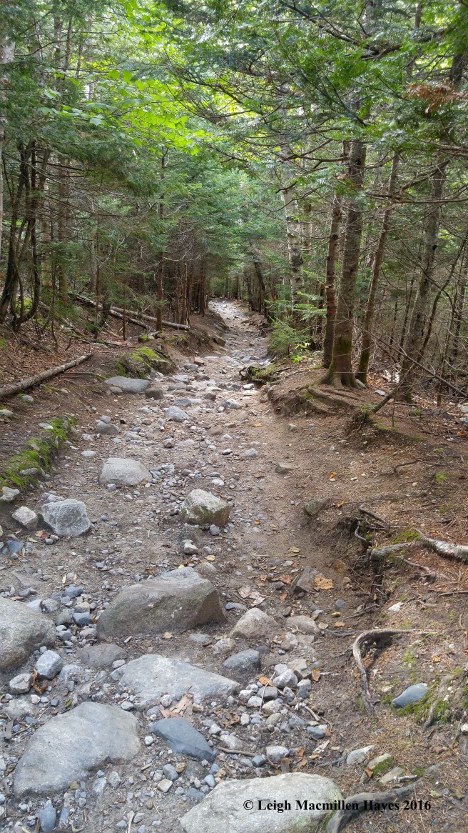 h-rocky trail (1)