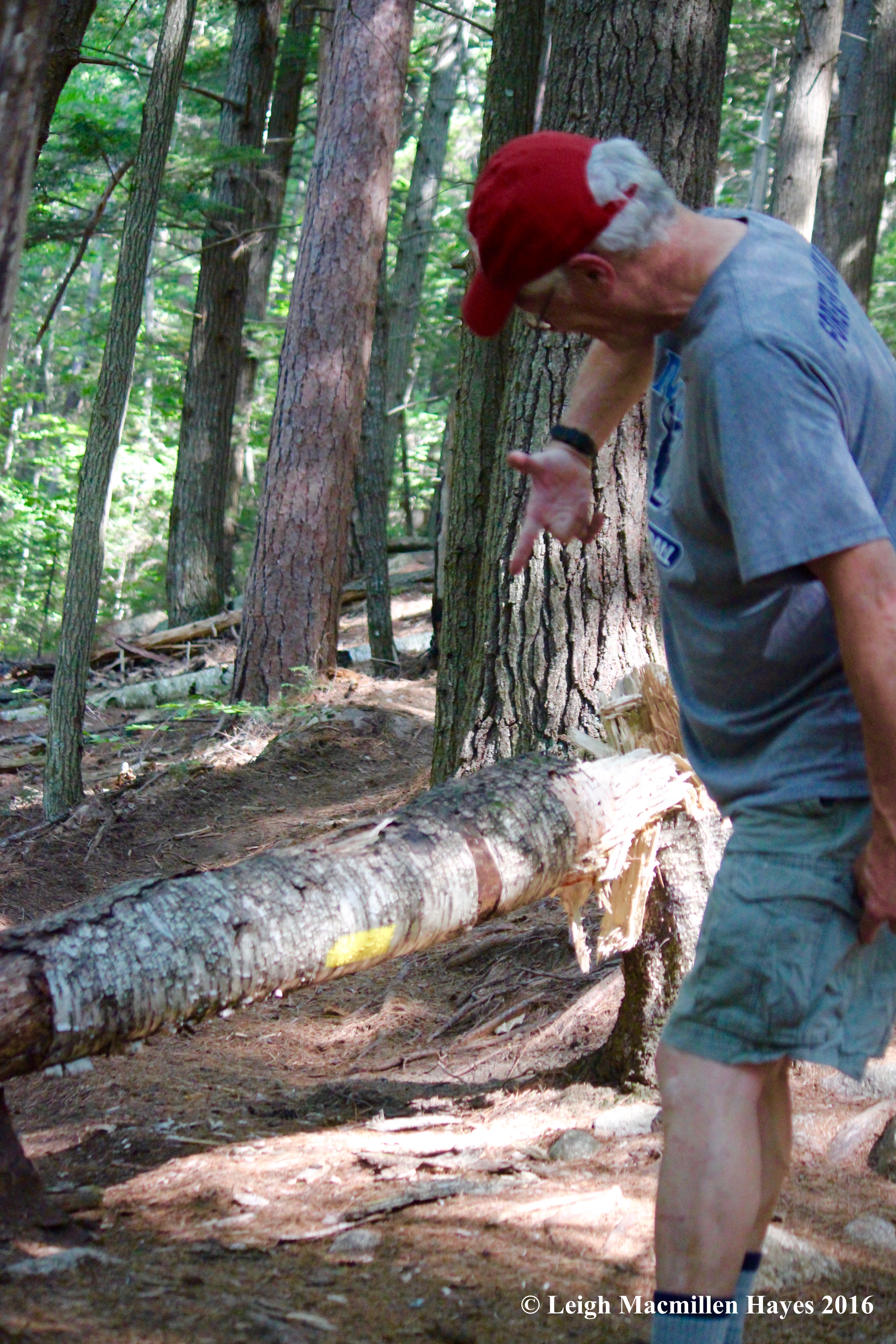 K-trail goes this way