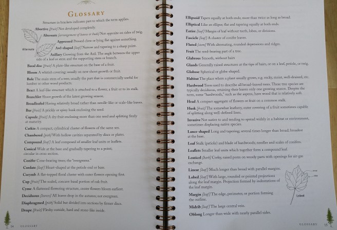 t-glossary (1)