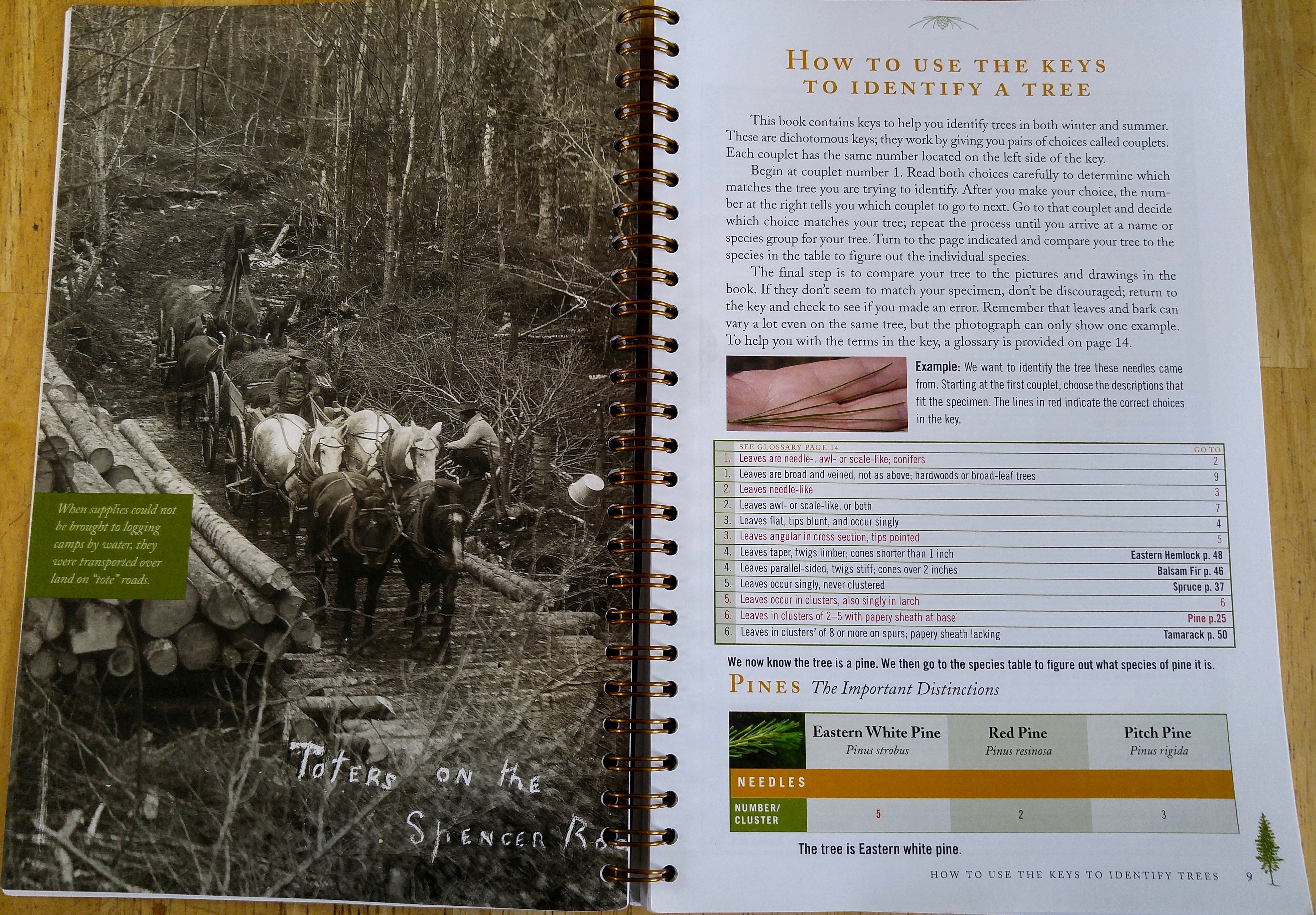 t-how to use keys (1)