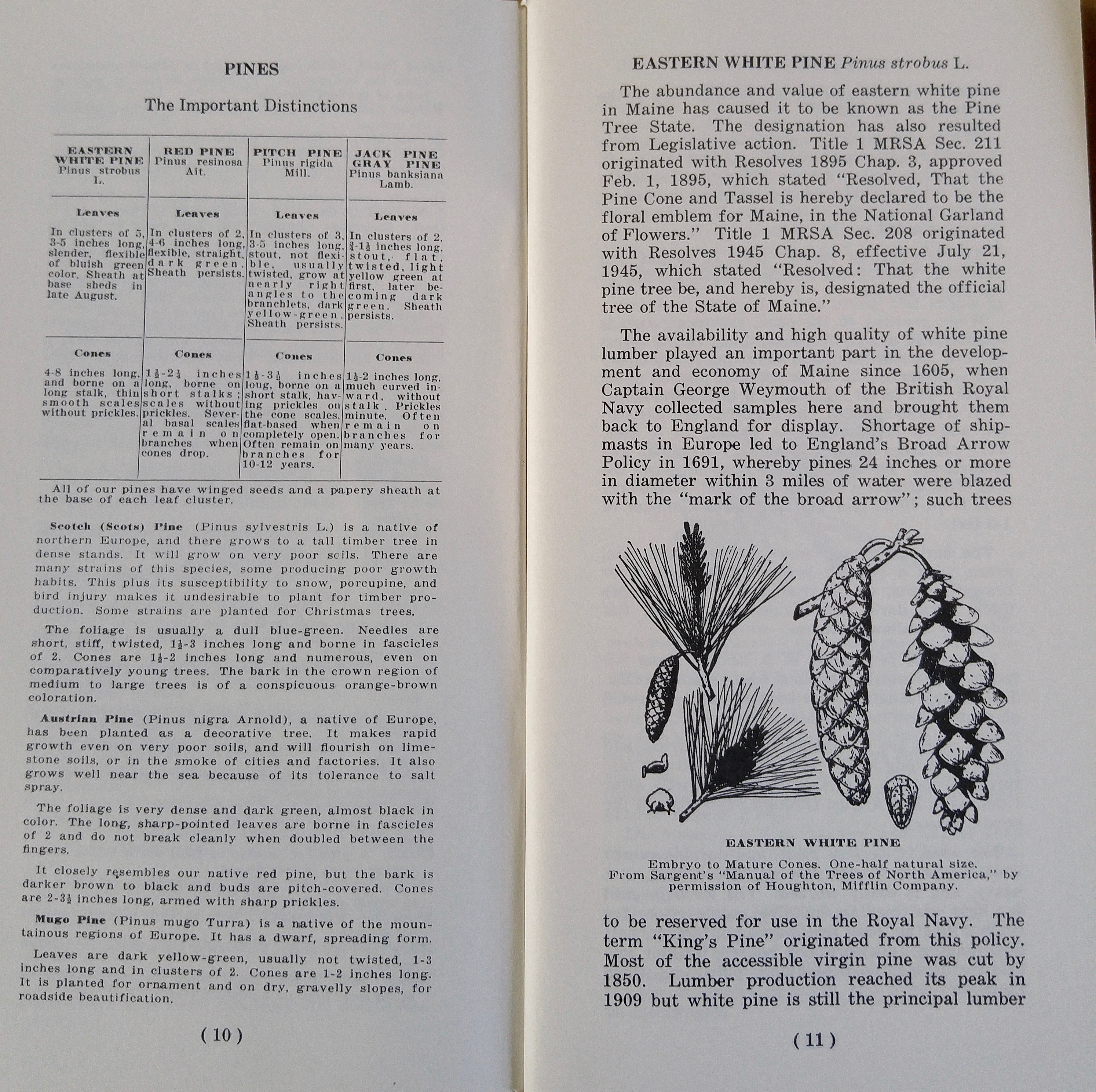 t-pines blue book (1)