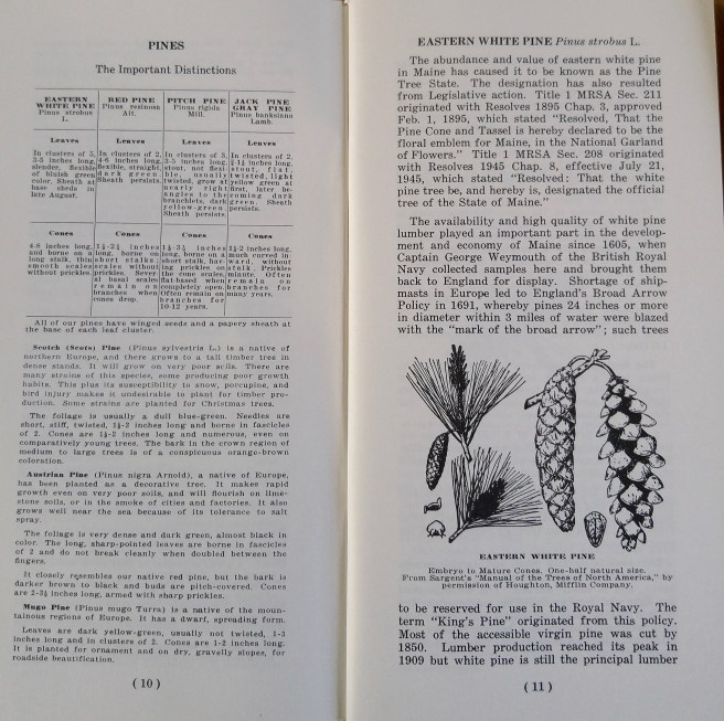 t-pines blue book (1)