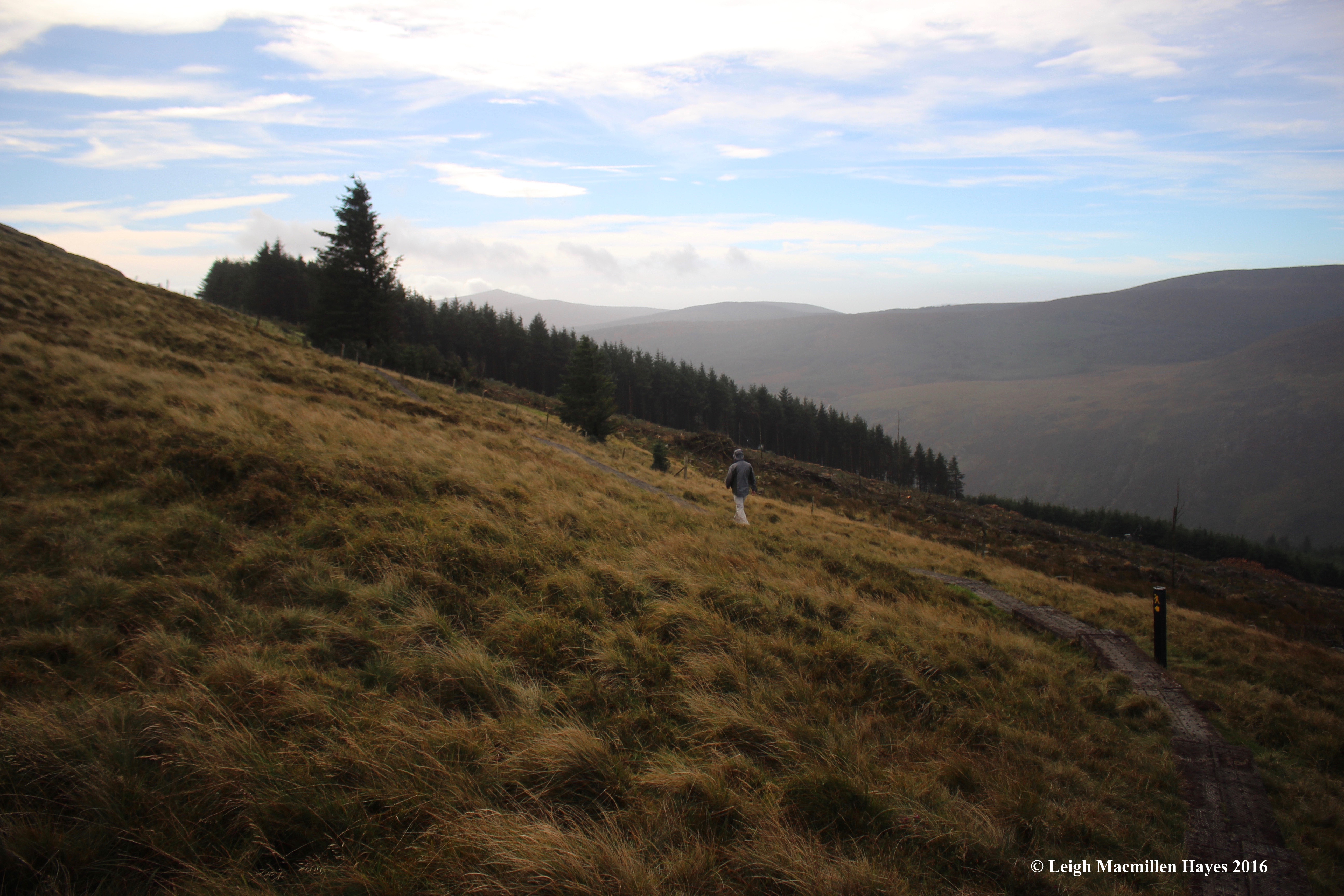 crossing-bog-wicklow-way-day-1