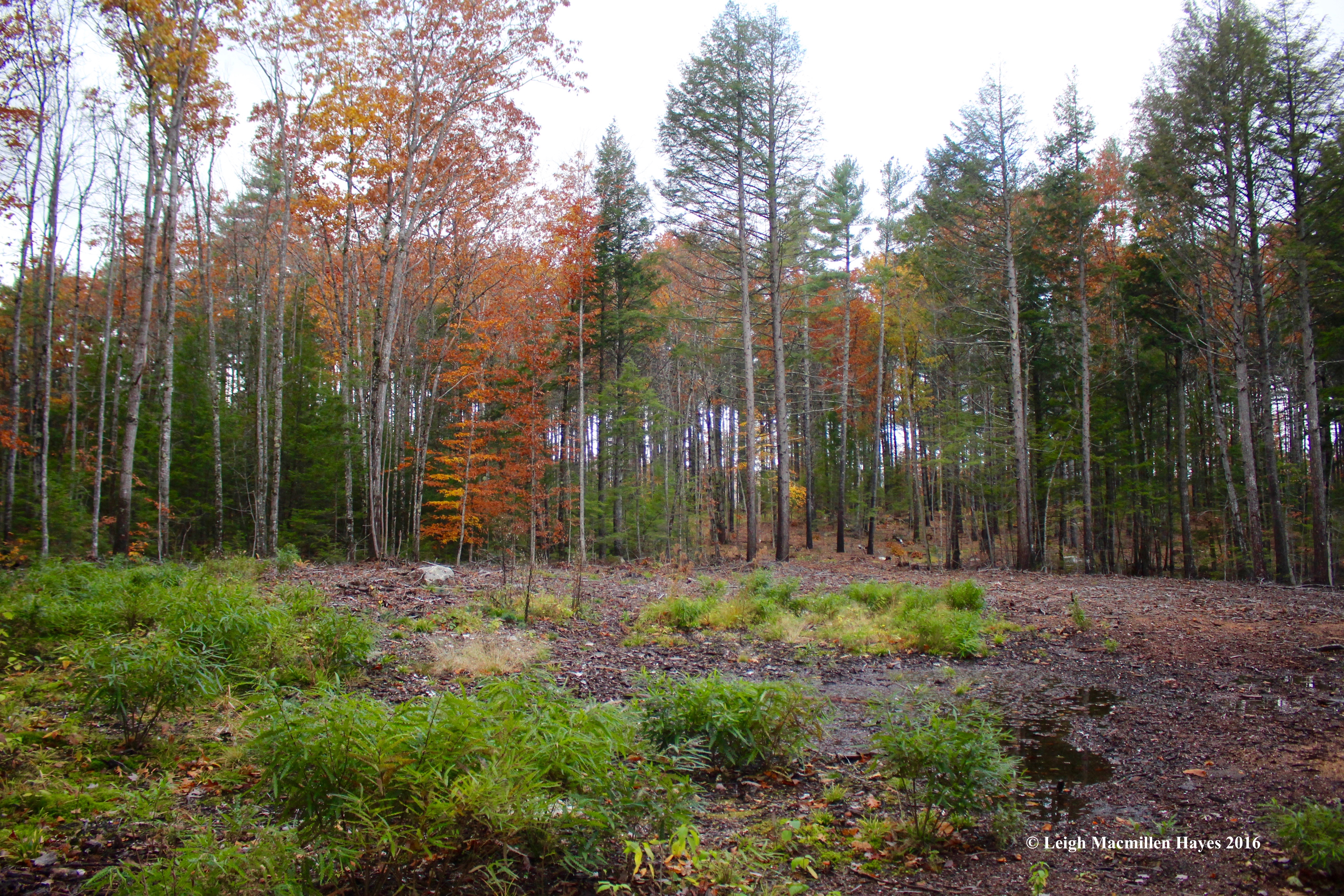 l-future-parking-lot