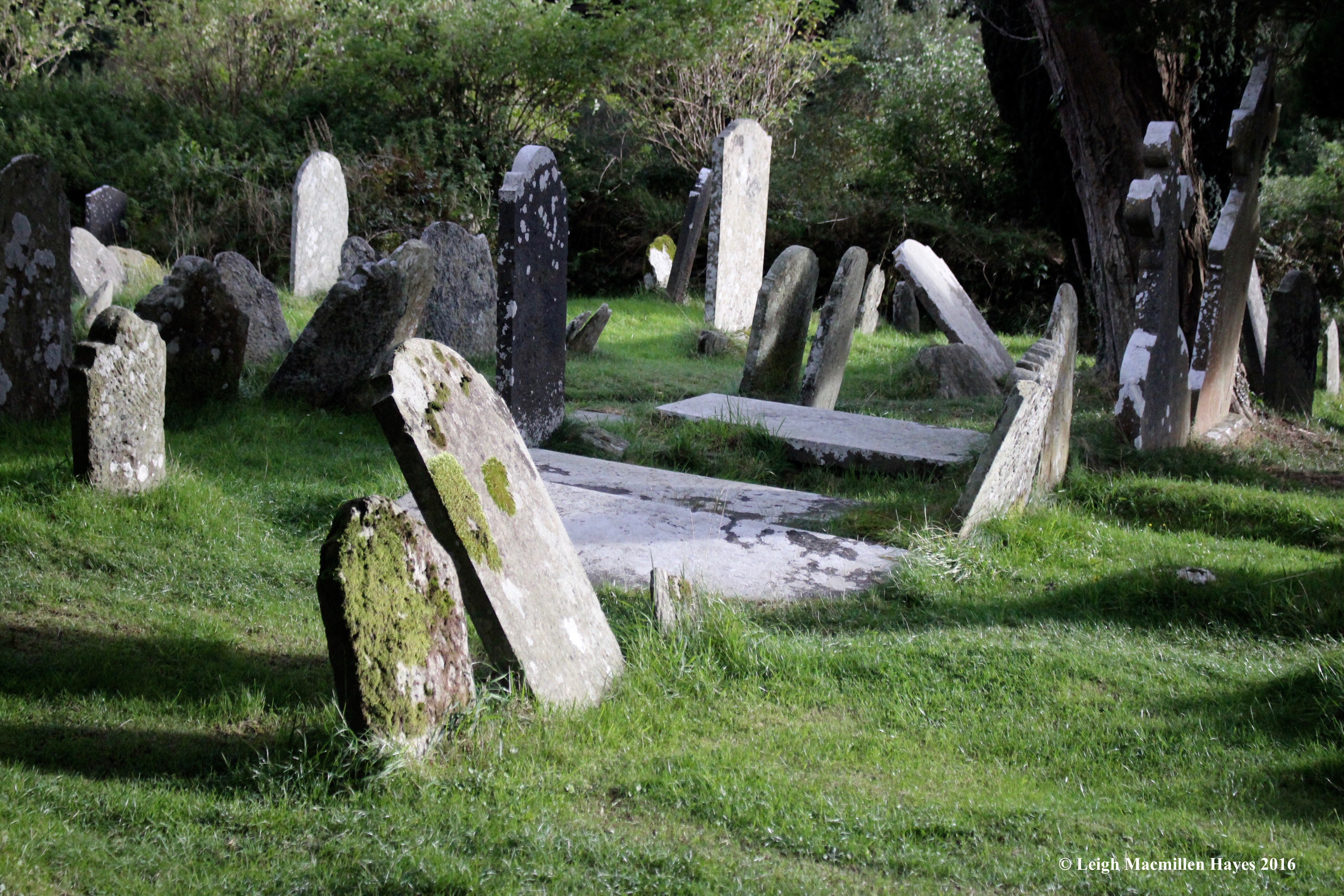 monastery-cemetery-glendalough