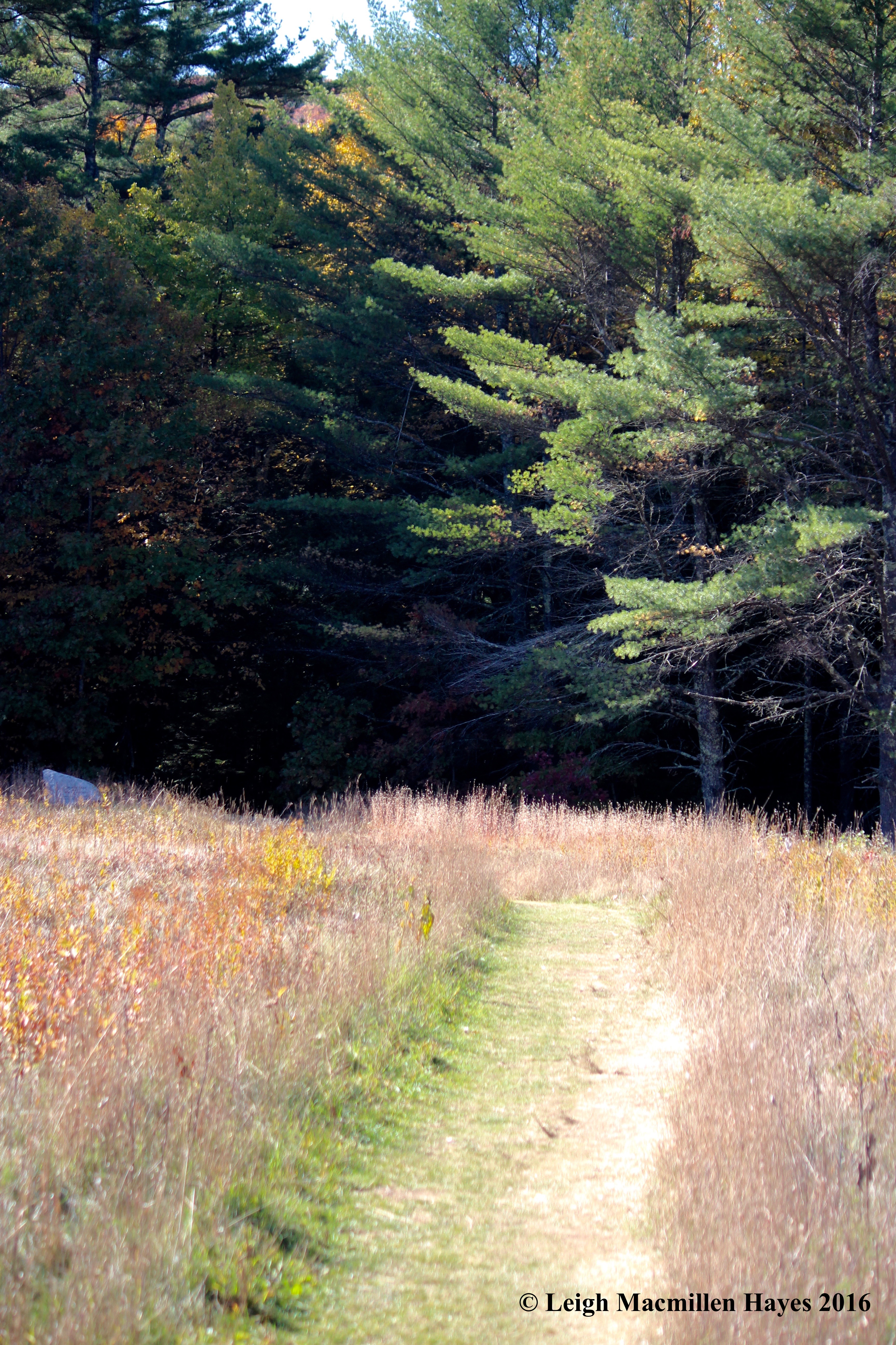 r-beginning-of-bri-mar