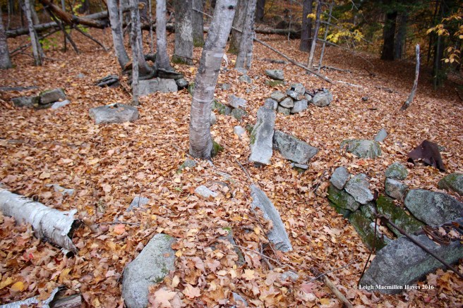 t-house-connected-to-barn