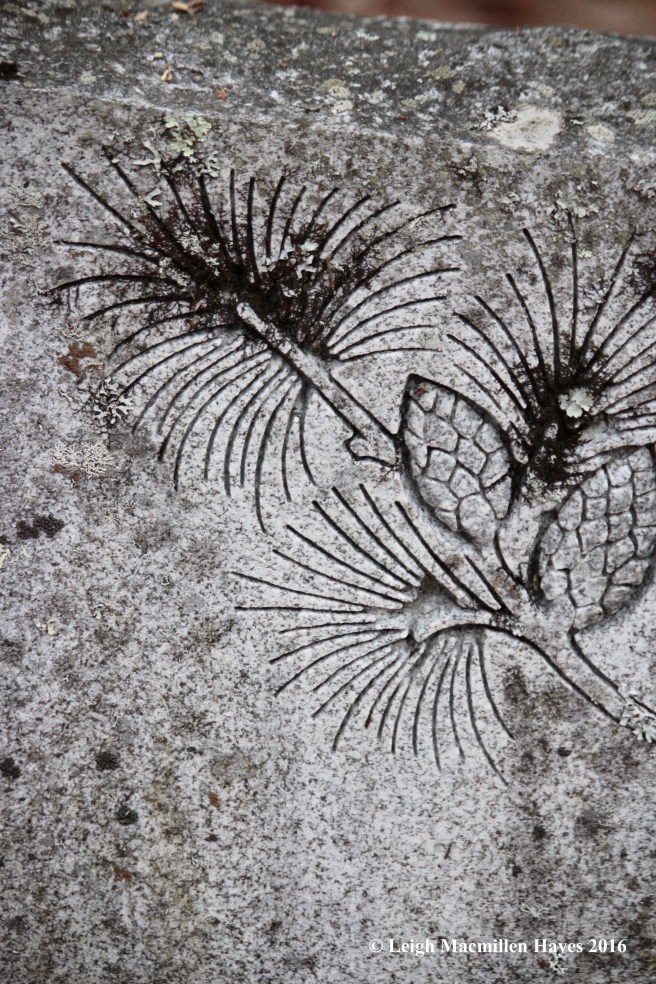 t-pine-on-grave-stone