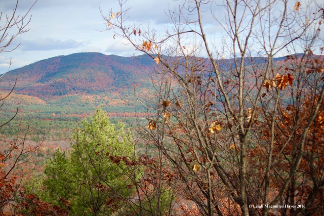 t-pleasant-mtn-from-summit