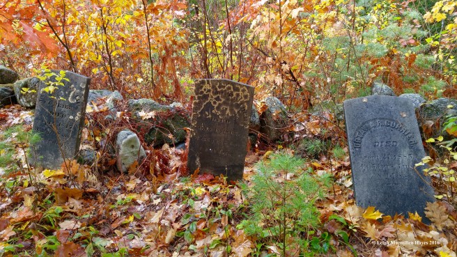 u-cemetery-curriers-1