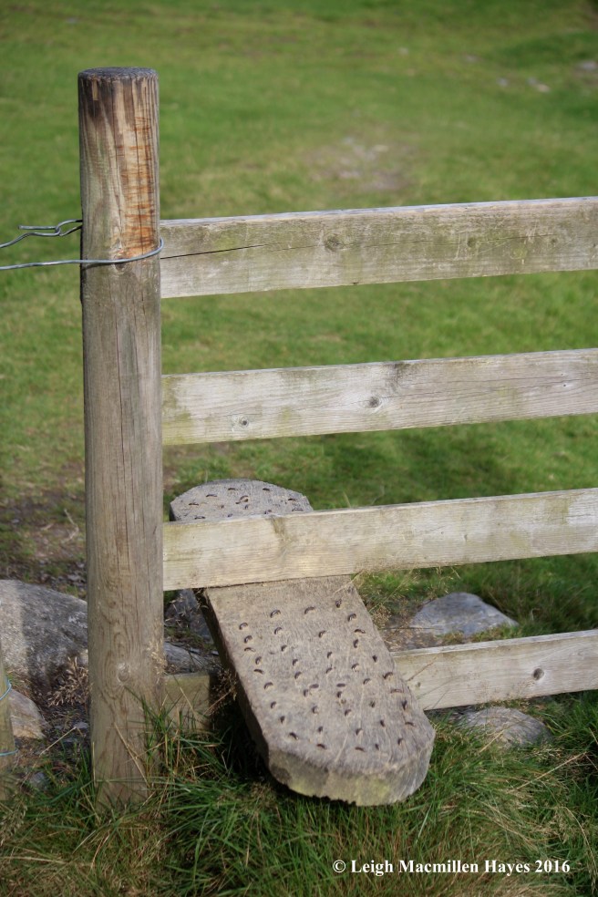 w-stile-step-wicklow-way-day-3