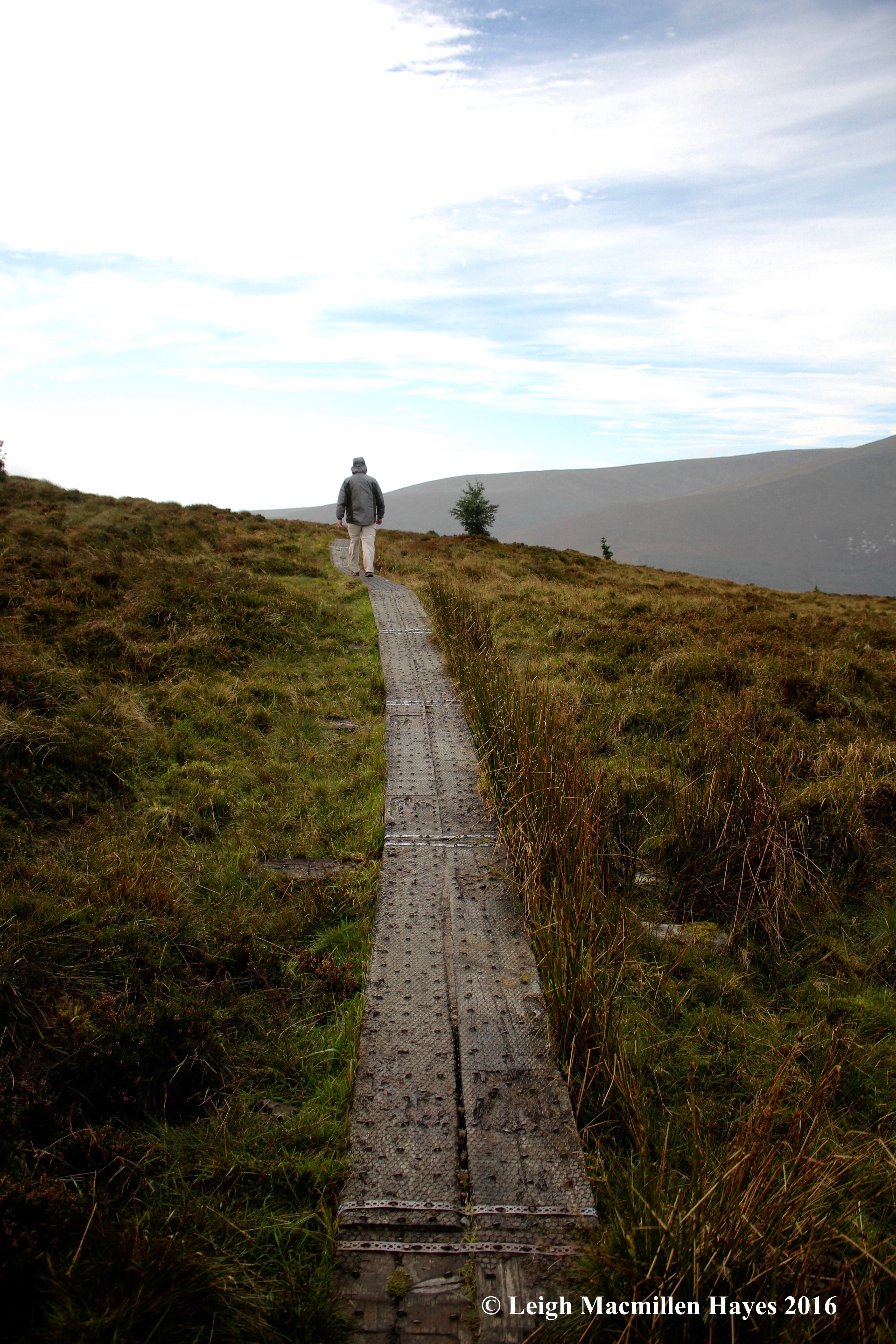 wicklow-way-bog-day-1