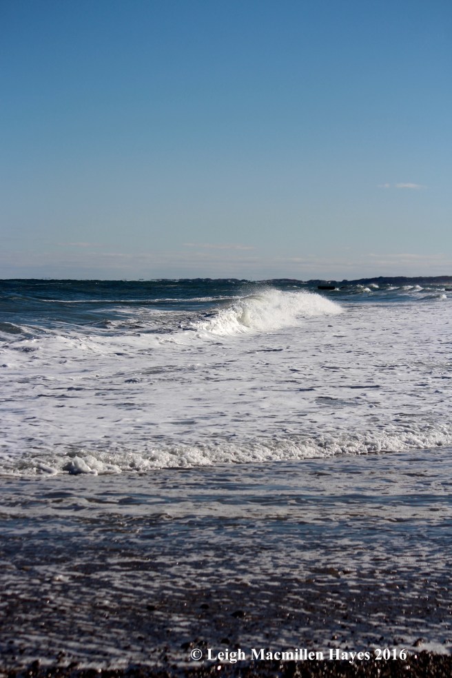 c-crashing-wavessandwich