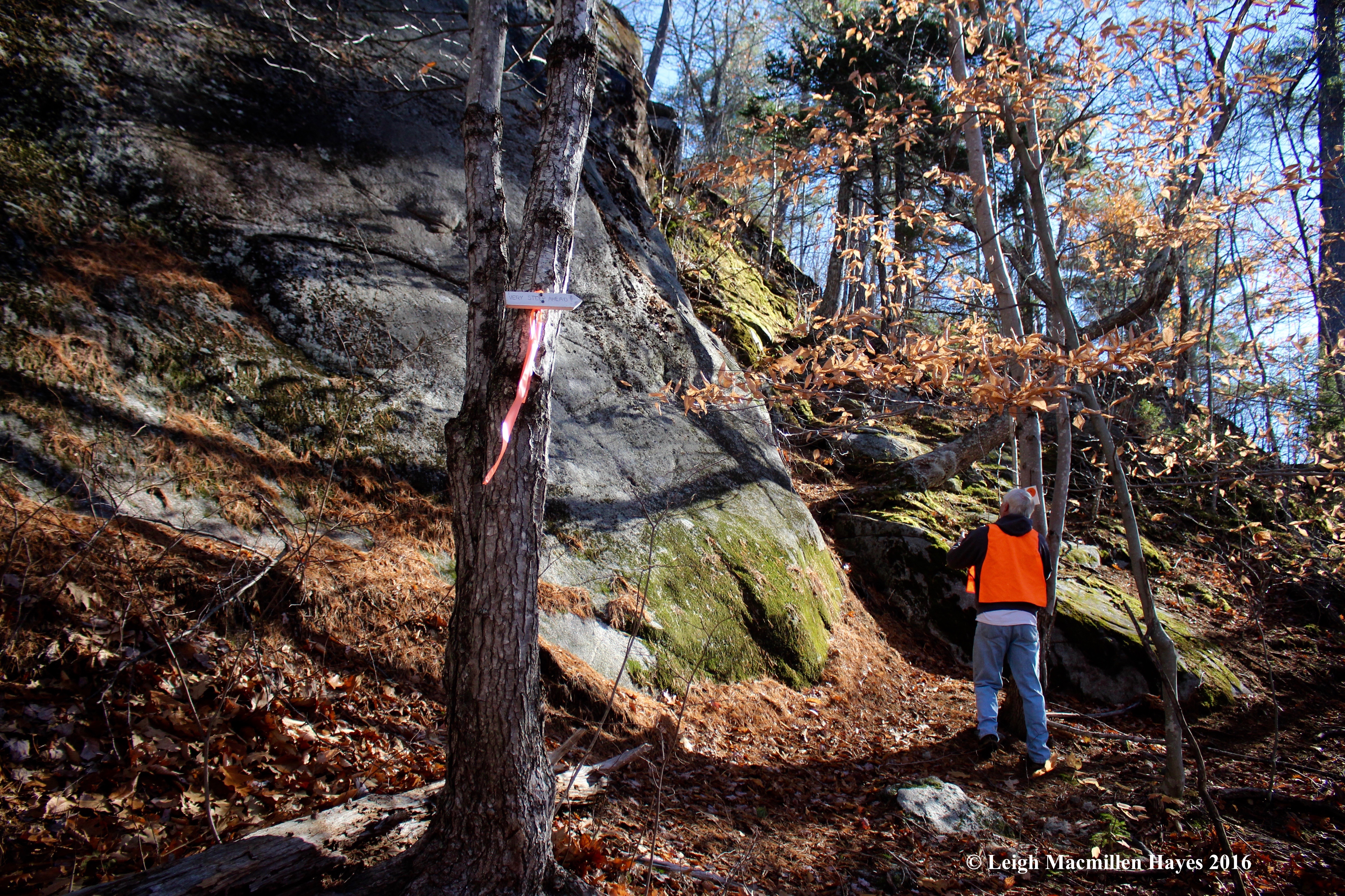 d-contemplating-the-climb