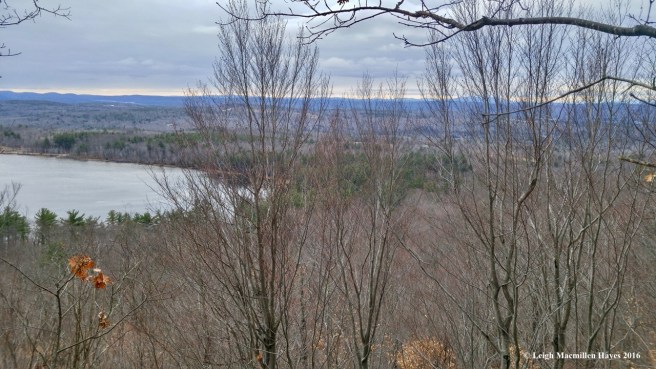 s-halfway-up-view-1-jpg-communities-defined