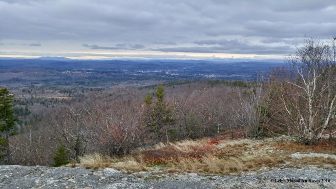 s-pleasant-to-whites-1